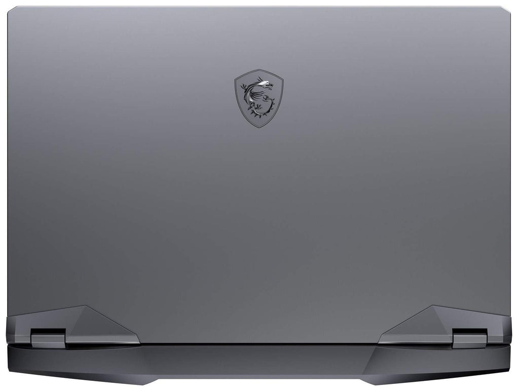 MSI GE66 Raider 10UG-211 ? 15.6" FHD 300Hz ? i7-10870H ? 32GB RAM ? RTX 3070 ? 1TB SSD ? Titanium Blue ? GE66211