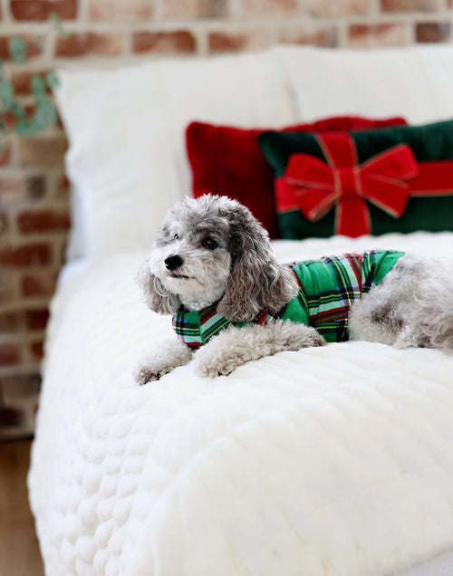 ?? Pet Pajamas - Christmas Plaid Green (100% off)